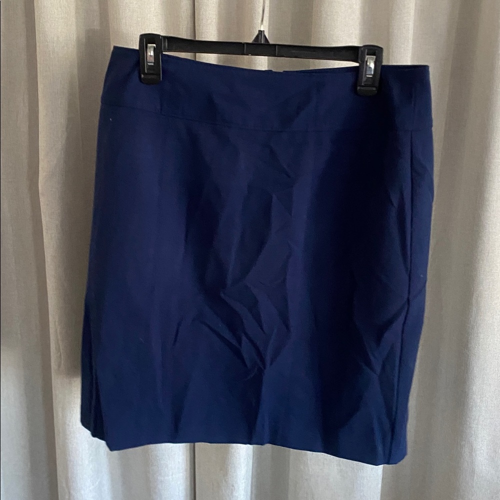 Navy Worthington dress skirt